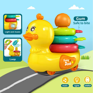 Pato didactico