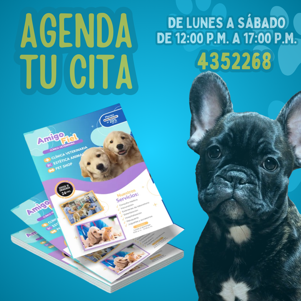 Flyers (volantes publicitarios)